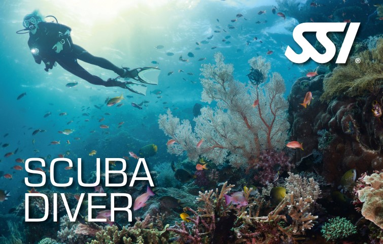 scuba-diver